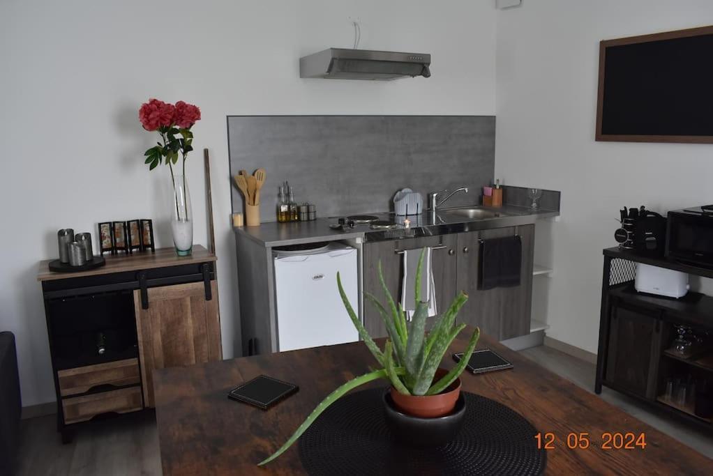 Charmant Rdc Au Coeur Du Village Soual 외부 사진